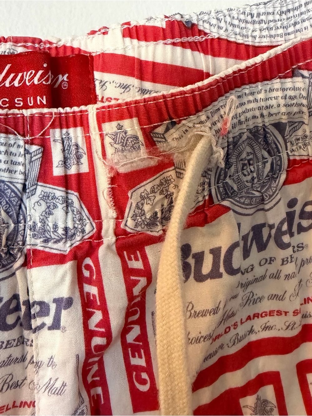 Budweiser X Pacsun Logo Print Swim Shorts size Large - Picture 3 of 7